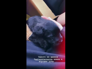 Instastories @anna tsukanova kott 24 07 19