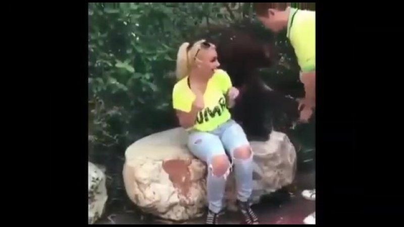 Ромашка белая