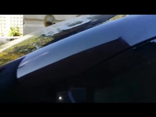 Priora flex 10000 watt alphard hannibal x15, автозвук, бассы, сабвуфер