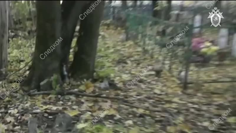 Пенсионеров убивали ради гробовых