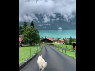 Lake brienz switzerland 🇨🇭