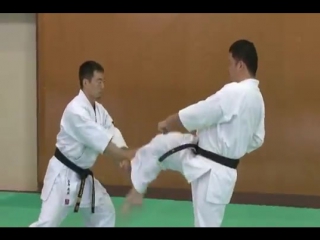 5 bunkai kumite pin an sono go