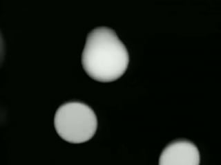 The cranberries ode to my family