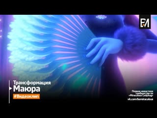 Miraculous леди баг и супер кот – маюра | трансформация