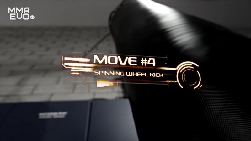 Академия спорта коронные приемы фабрисио вердум