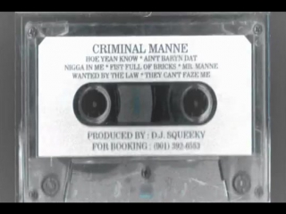 Criminal manne fist full (1994)