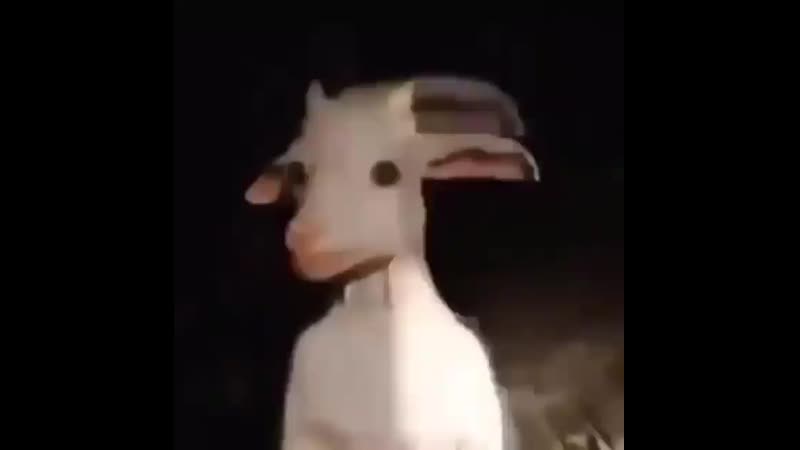 Тёплое шипение