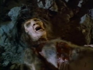 1988 дьявольское превращение / demonwarp