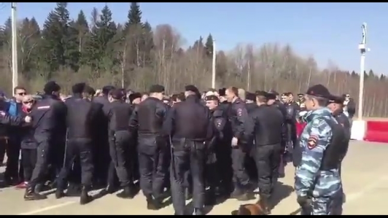 Волоколамск полиция