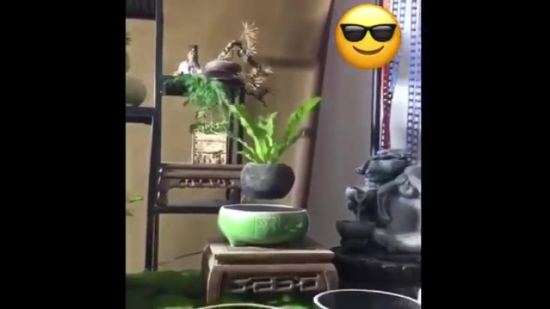 “парящие” в воздухе горшки