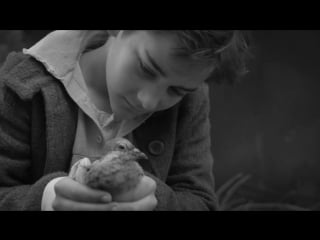 Stratovarius my eternal dream