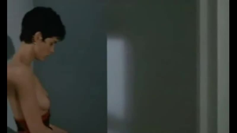 Частные уроки (cours privé, 1986), режиссер пьер гранье дефер