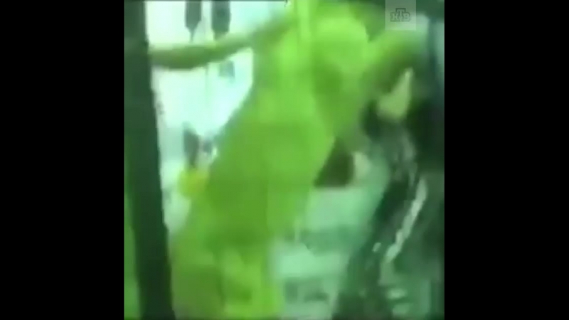 Детей ради забавы заперли в клетке со львицей в зоопарке, но чуть не произошла трагедия