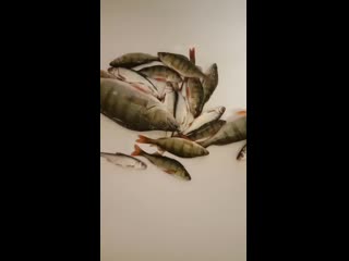 Video 20191116 130919 mp4