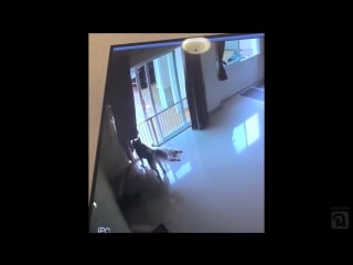 Побег миссия выполнима