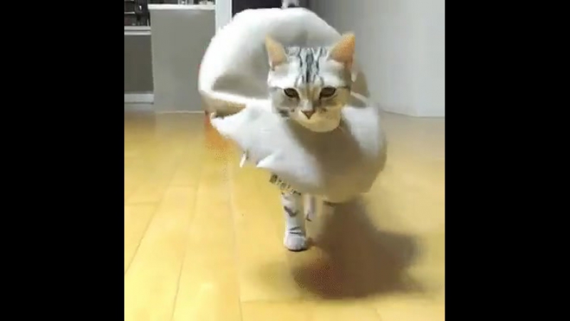 Первая трудовая неделя осени 2017 объявляется открытой!