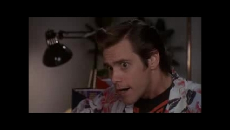 Розыск porn video – Ace ventura pet detective \ эйс вентура розыск домашних молодые
