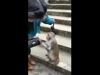 Пропускной режим