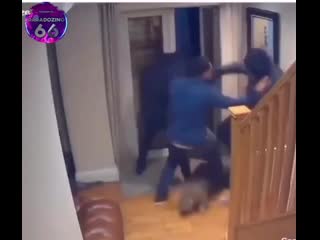 Отбил свою хату