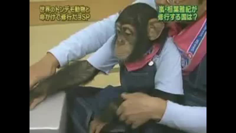 Tensai! shimura doubutsuen