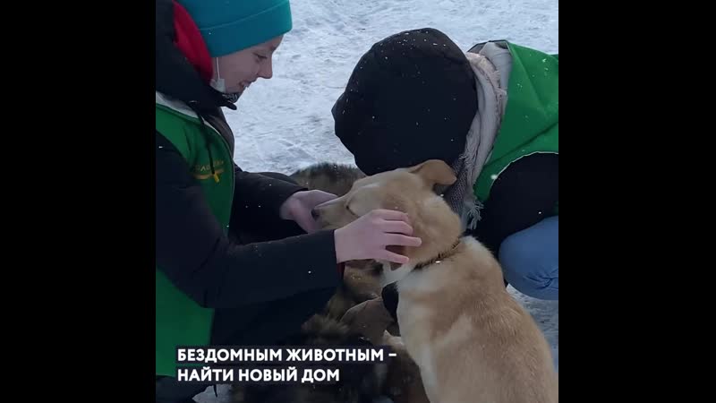 Студенты волонтёры