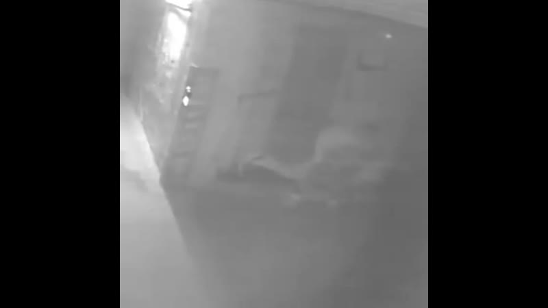 Подбросили молодые?