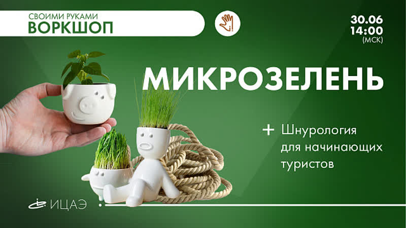 Воркшоп микрозелень
