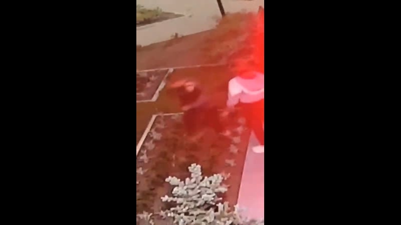 Обоссали памятник