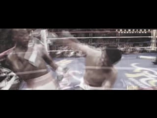 Floyd mayweather highlights ii t b e best ever ii tbe tribute training motivati