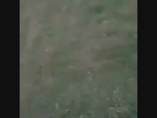 Идут за лидером (vhs video)