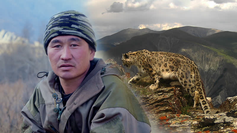 Почему охотники стали хранителями снежного барса на алтае