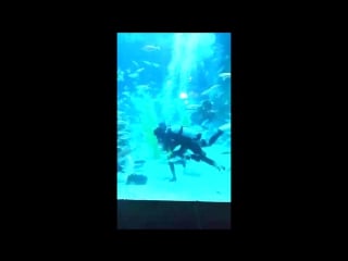 [18 seconds] sistar soyou 06