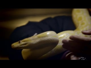 Adamn killa – ten (feat yung lean)