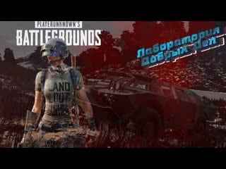 Shmel shmelev live via restream io