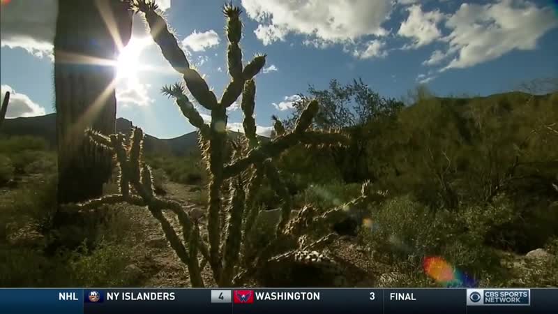 Американский футбол студенты аризона боул вайоминг джорджия