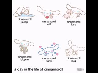 A day in the life of cinnamoroll but make it wonho