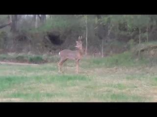 Trim 20200525 100233 mp4