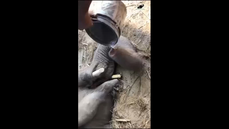 Утолил жажду