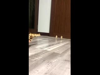 210103 weverse gfriend