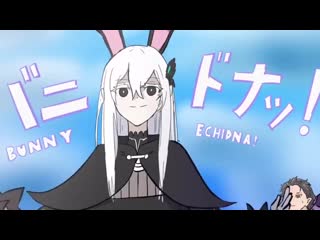 Bunny echidna