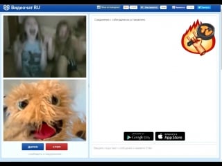 Шерстяной john cena