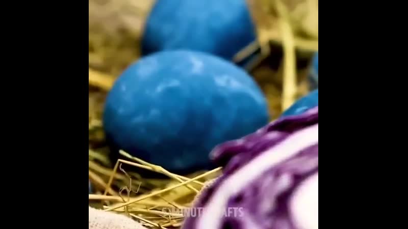 Красим яйца