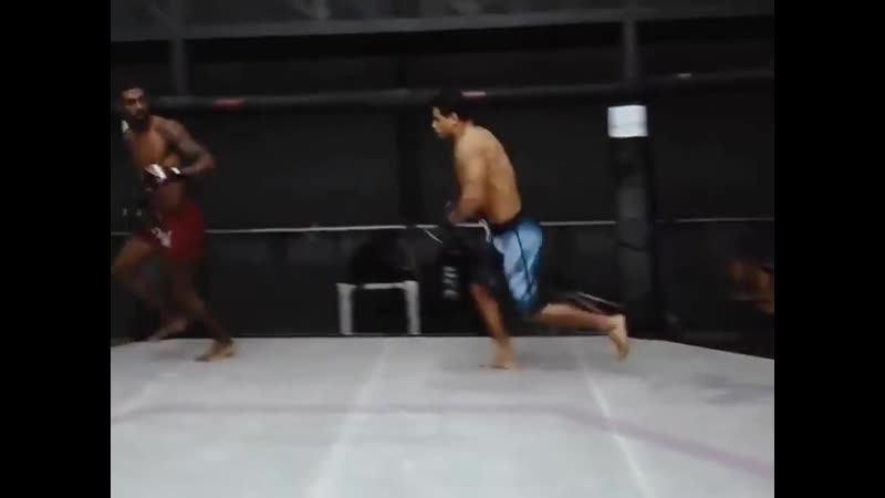 Harcord пауло коста тренироа ufc 253