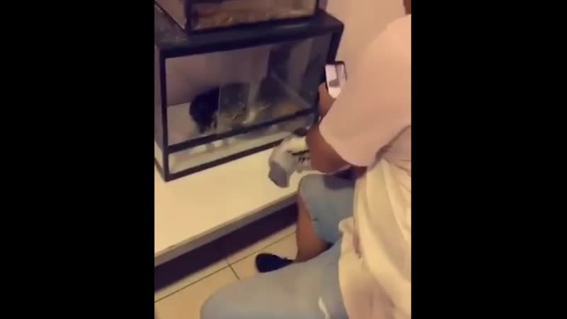 Кормёжка пошла не по плану