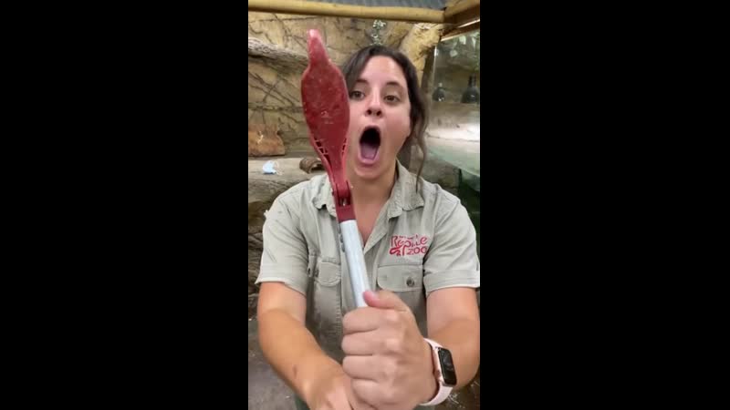 Не скучная работа