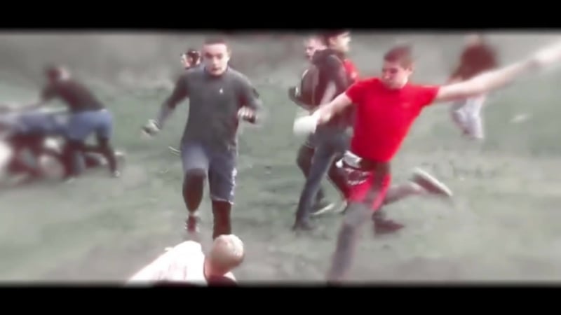 ✵ резвый офник / vine №4 ✵