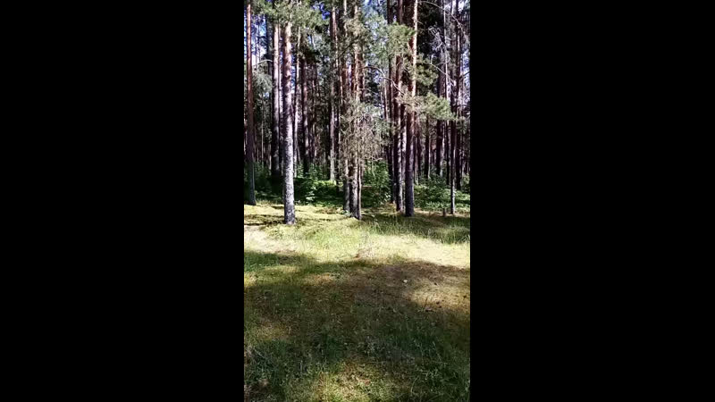 На водохранилище в волочке