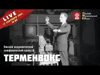 Терменвокс