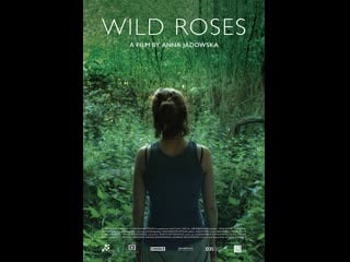 Дикая роза dzikie róże (2017) польша