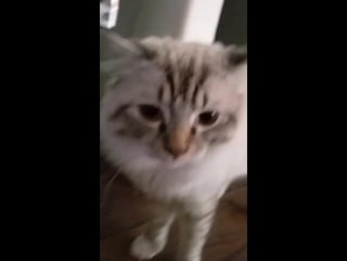 [video] bts on oklahoma radio kj103 okc